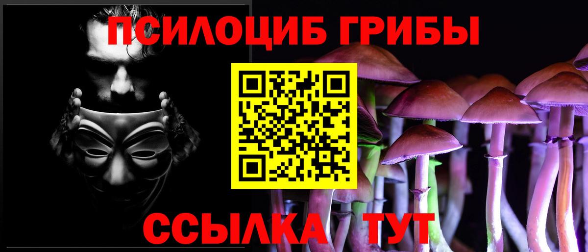 Псилоцибиновые грибы мицелий Камышлов